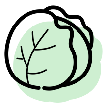 cabbage
